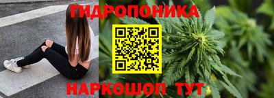 винт Славгород