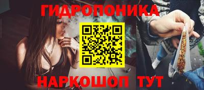 стаф Сланцы